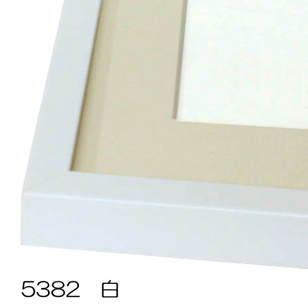 5382　白【既製品サイズ】デッサン額縁