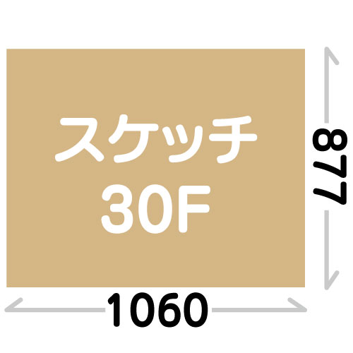 スケッチ30F(877X1060mm)