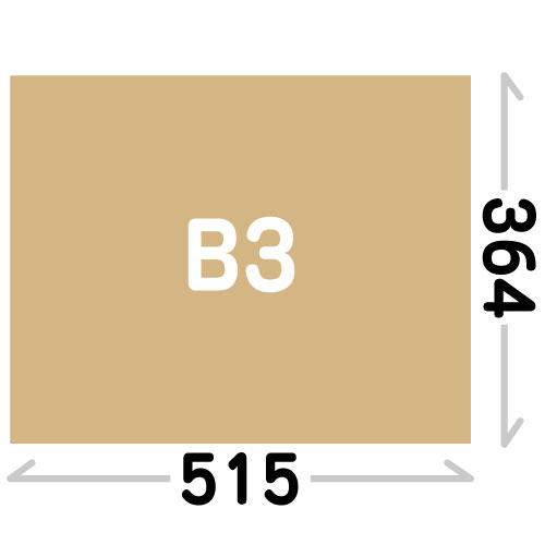 B3(364X515mm)