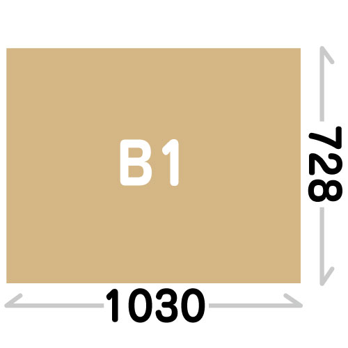 B1(1030X728mm)